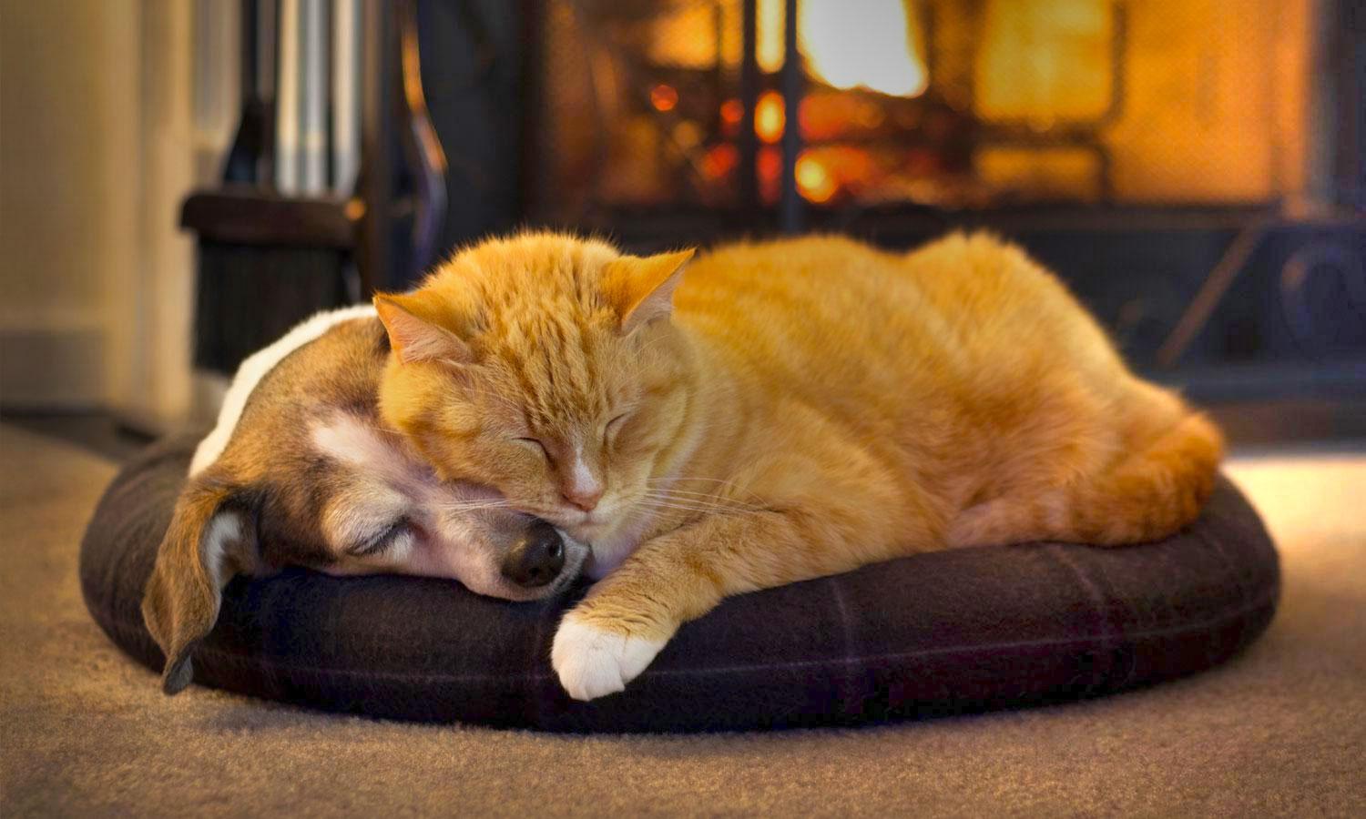 Berkshire Hathaway HomeServices Northeast Real Estate