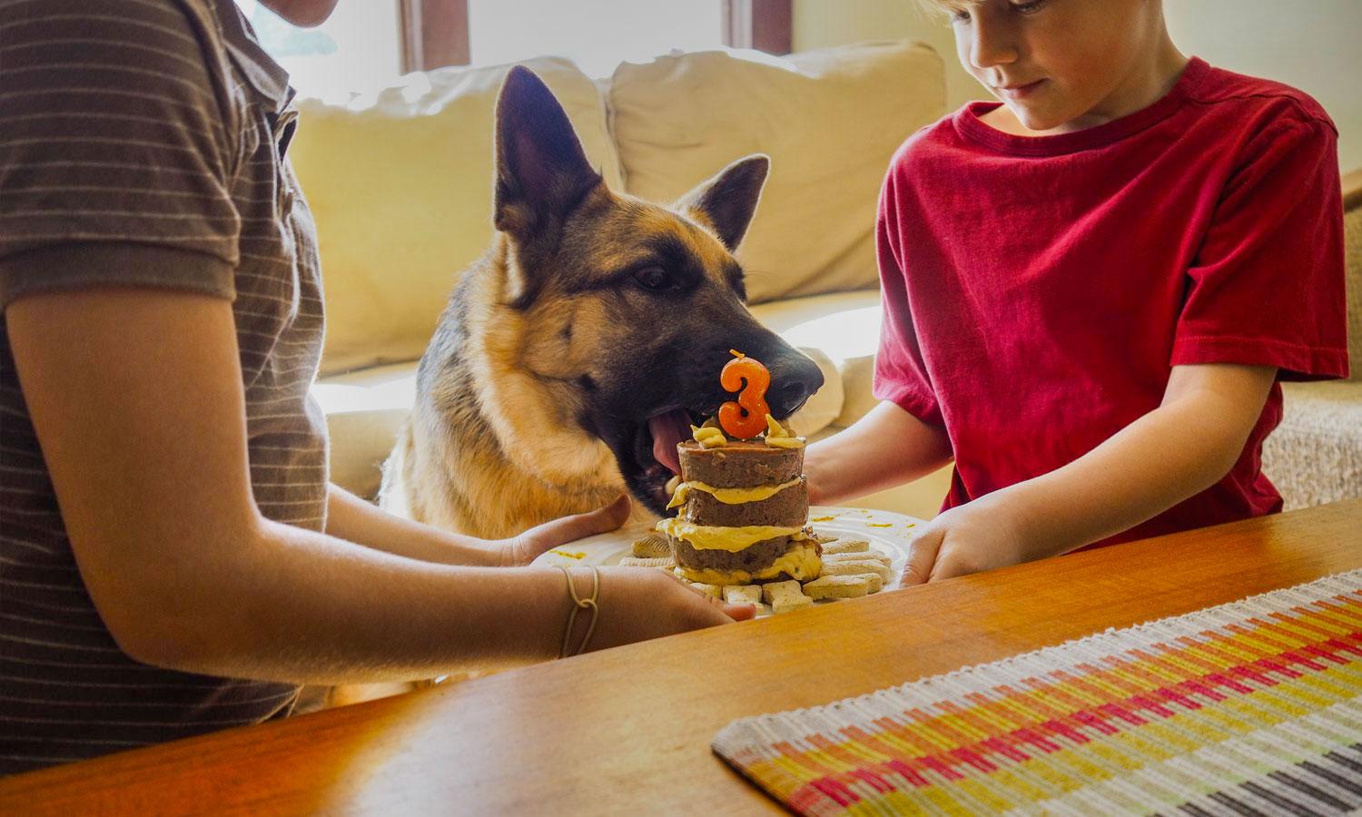 Berkshire Hathaway HomeServices Northeast Real Estate